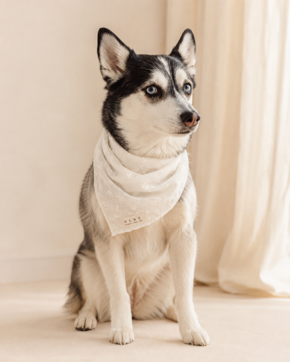 HERE Bandana — view 2